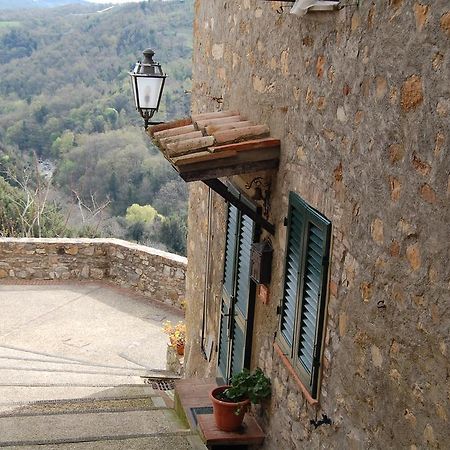Hotel Emily House Montecerboli Exterior foto