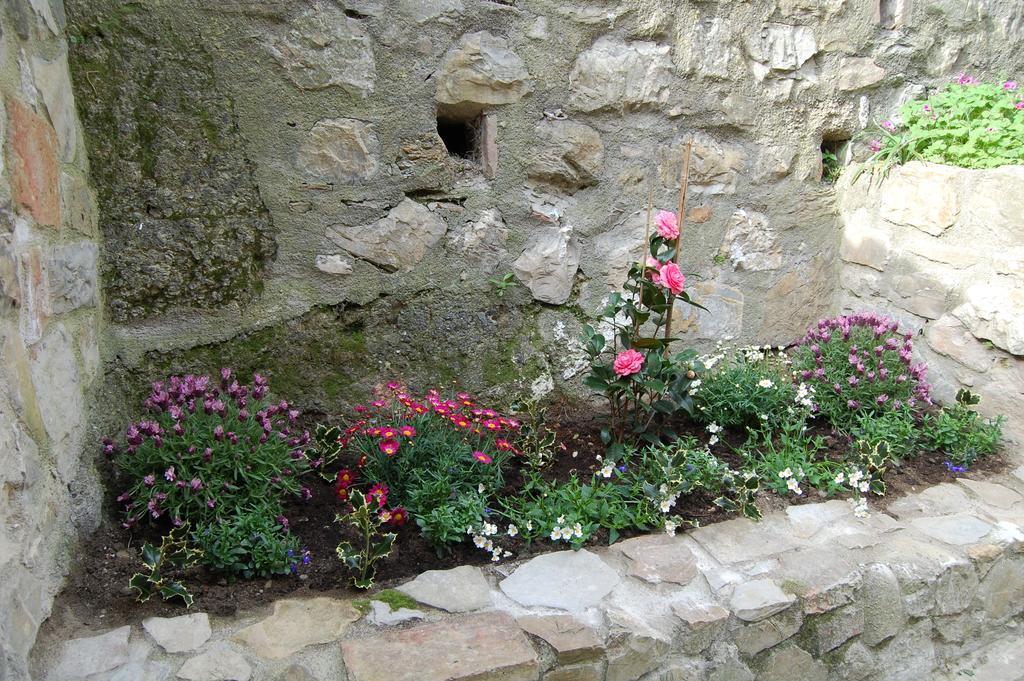 Hotel Emily House Montecerboli Exterior foto